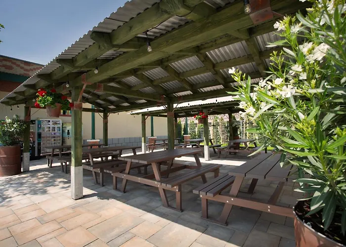 Kemping Encar - Bliżej Nie Będzie Zator